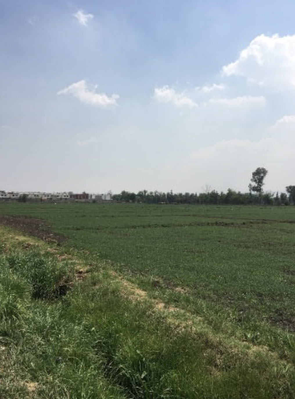 Captura de pantalla 2025 03 19 a las 8.24.46 p.m